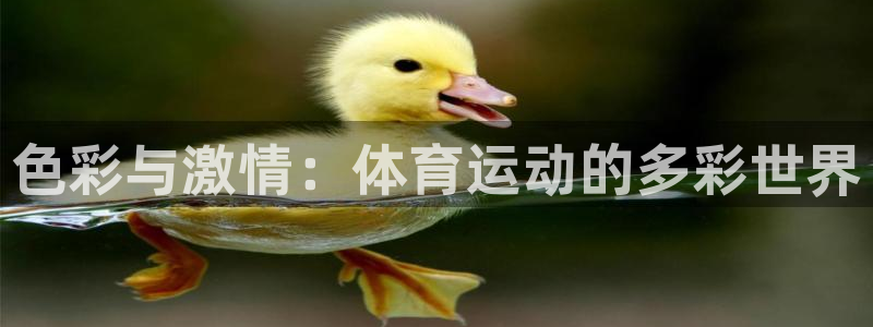 xc体育app官方网站