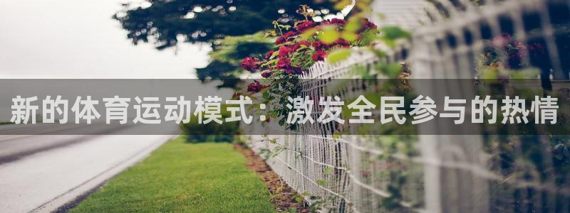 xc体育
