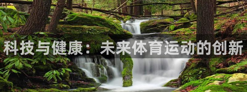 xc体育app官方网站