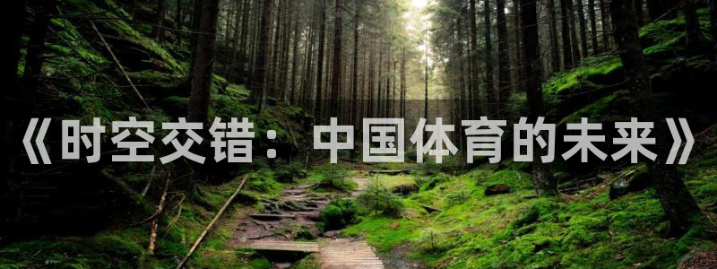 xc体育