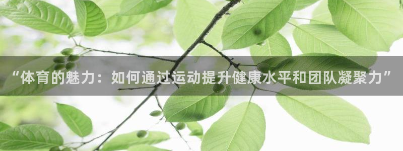 xc体育app官方网站