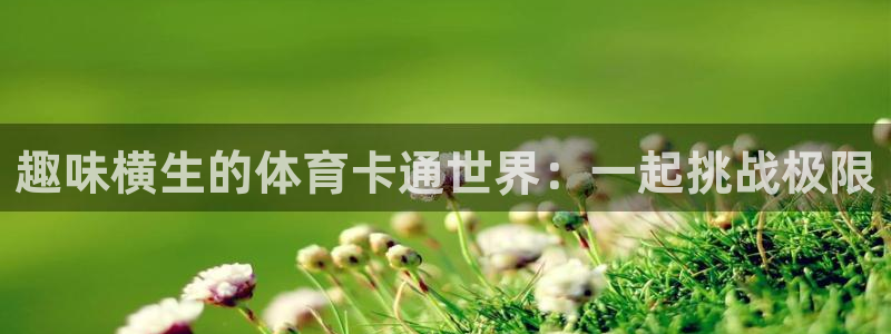 xc体育