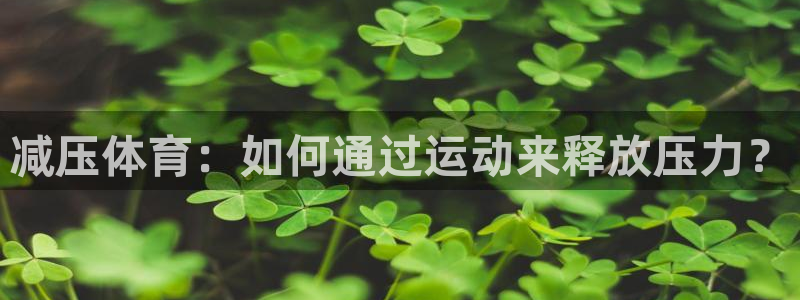 xc体育