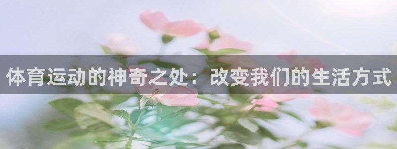 xc体育