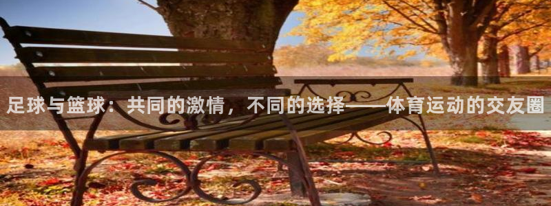 xc体育