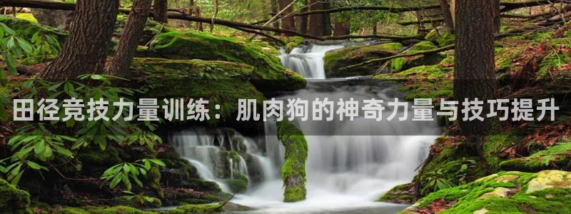 xc体育app官方网站