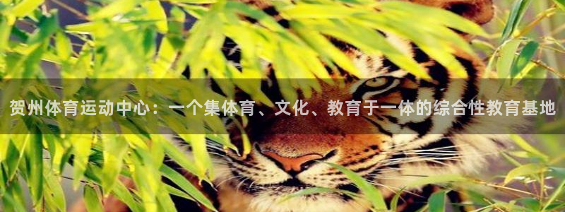 xc体育